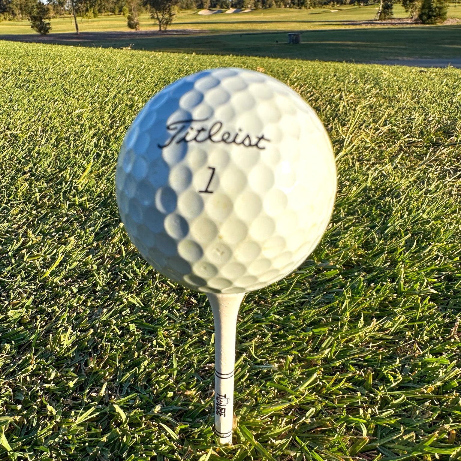 Tuube long 83mm tees placed in a line on a teeing ground, demonstrating uniform height for consistent driver contact
